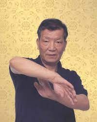 Ip Ching Wing Chun