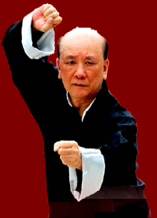Gran Maestro Chan Ka Wai de Bei Shaolín
