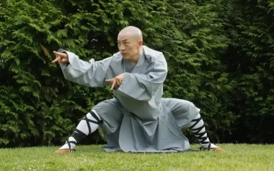 Posturas de Kung Fu