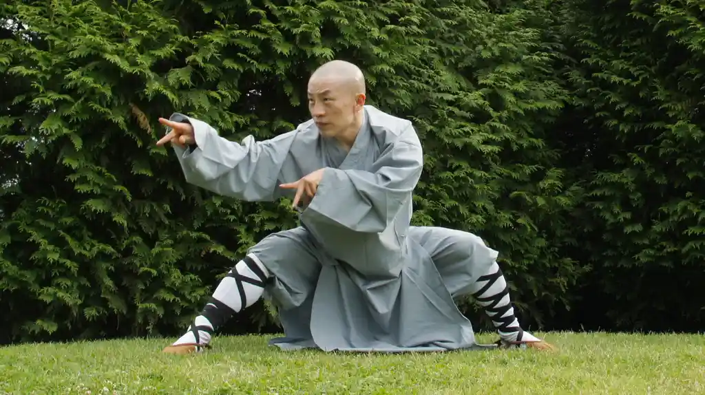 Kung fu posiciones