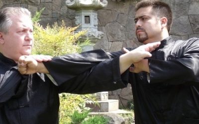 Las 10 formas de Shaolin Norteño