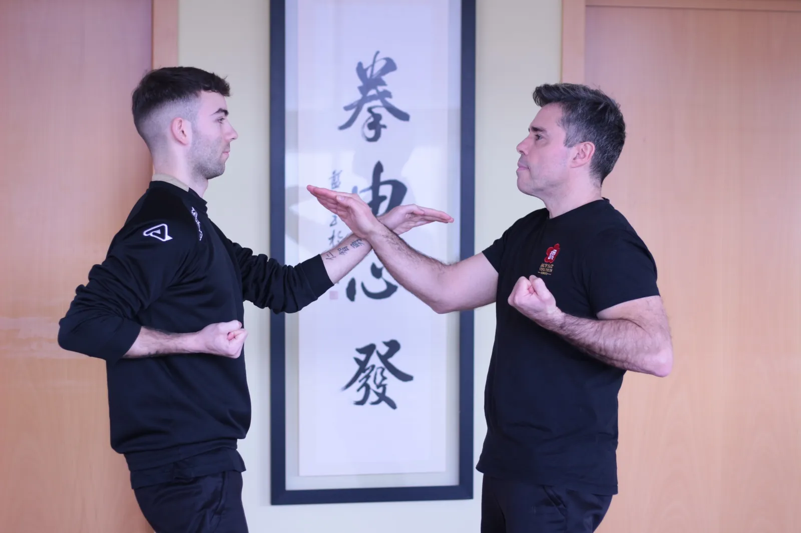 Como practicar Daan Chi Sau Ejercicio Daan Chi Sao de Wing Chun
