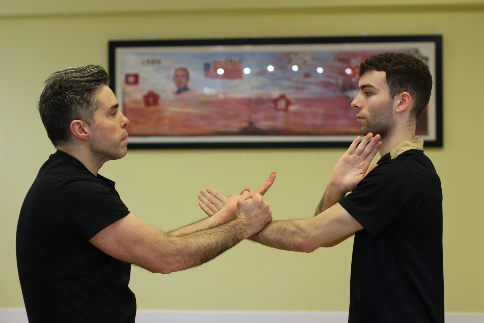 Técnicas de Chi Sao en Wing chun Taan Da