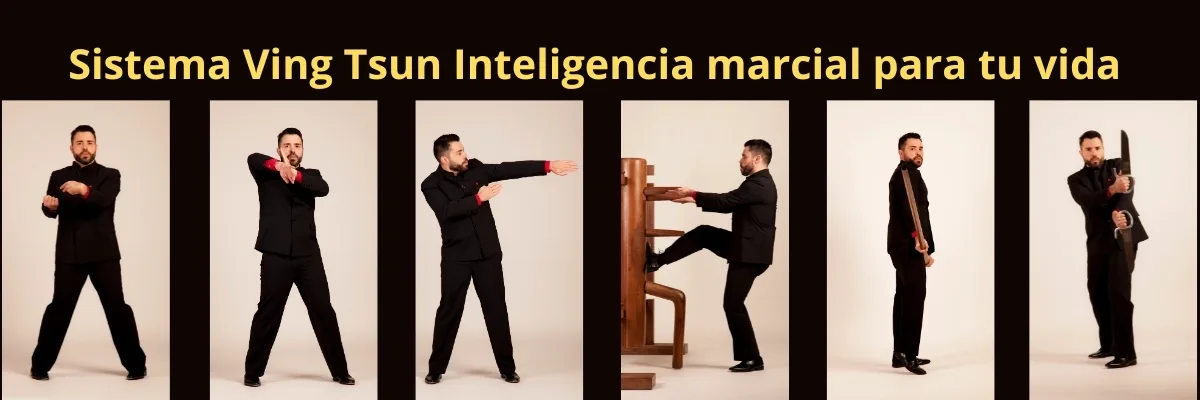 Seis dominios del sistema Ving Tsun Kung Fu Marcelo Navarro Fernández Seis Niveles del sistema Wing chun de Kung fu