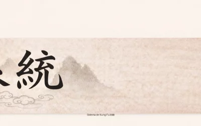 Sistema de Kung Fu