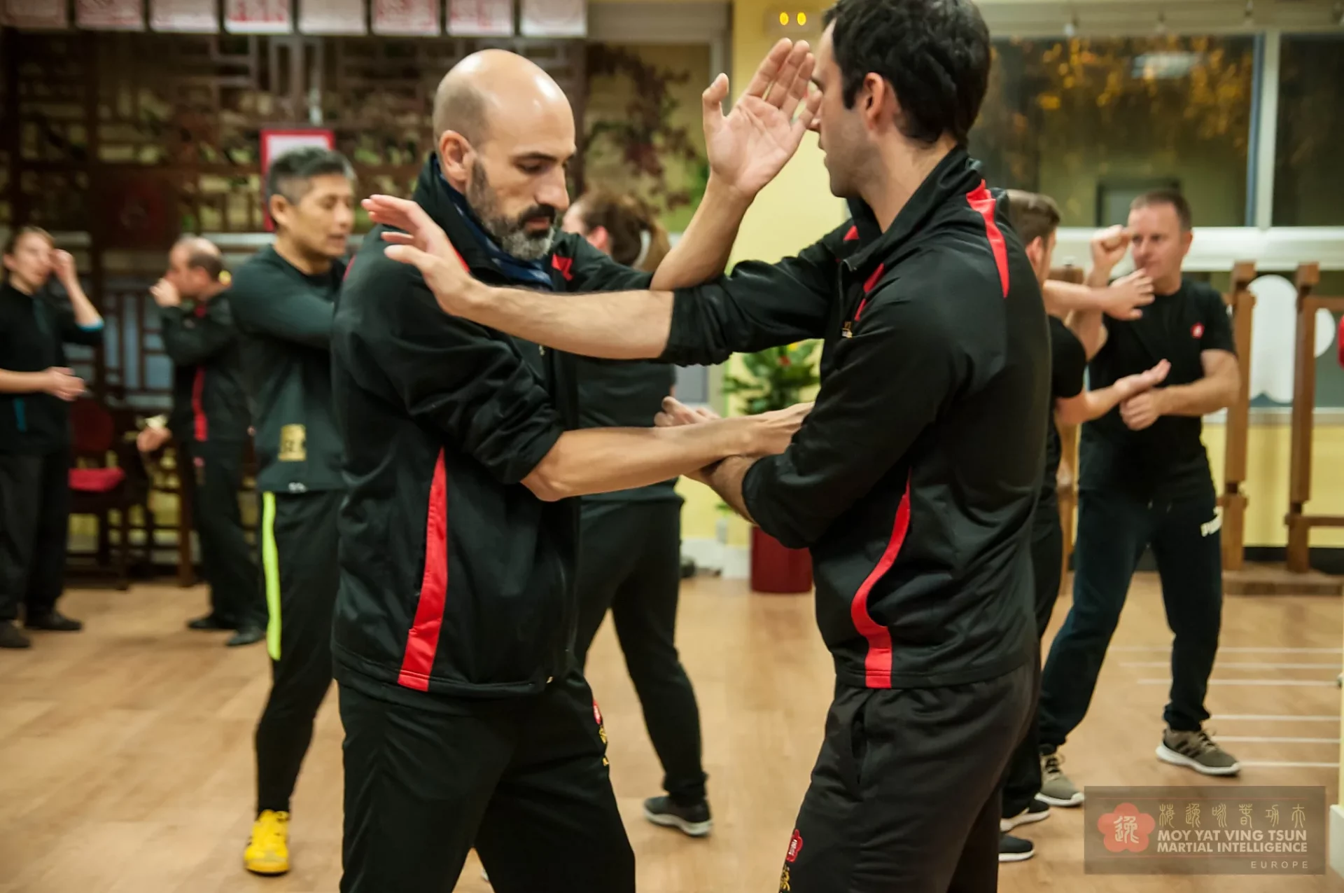 Clases Colectivas de Ving Tsun Kung Fu