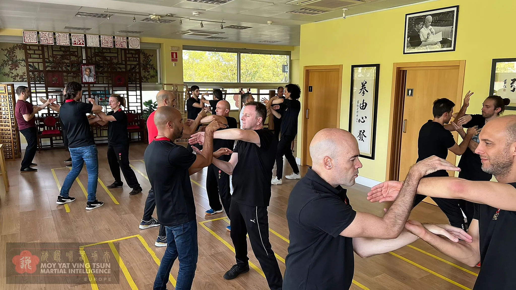 Clases de Wing Chun Kung Fu - Ving Tsun España
