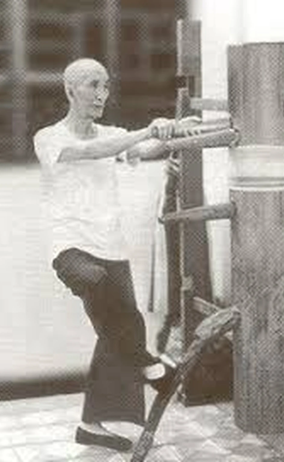 Cómo Ip Man transformó el Muk Yan Jong (2) Cómo Ip Man transformó el Muk Yan Jong