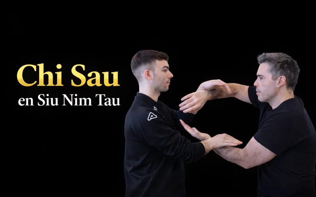 Aprende Chi Sao de Siu Nim Tau