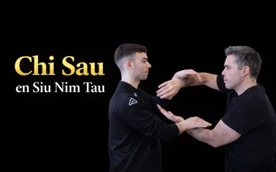 Chi Sao en Siu Nim Tau